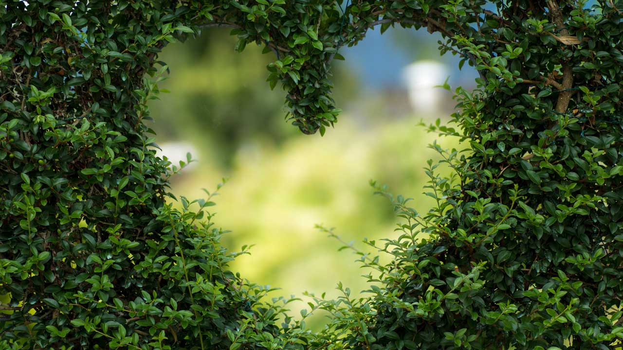 ways-you-can-go-green-in-the-office