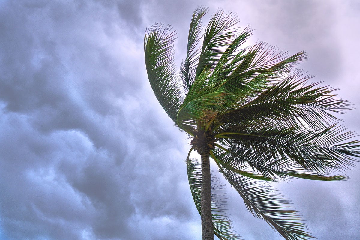 Benefits of security film during a severe storm