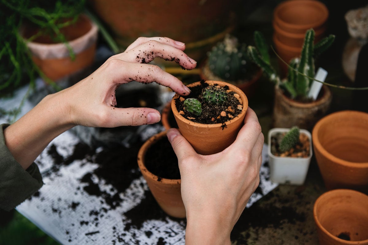 DIY gardening